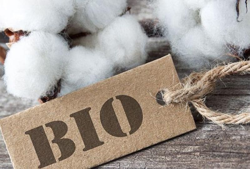 Dettaglio di un tag con scritto "Bio"