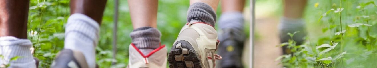 Primo piano delle calze di più escursionisti mentre percorrono un sentiero immerso nel verde
